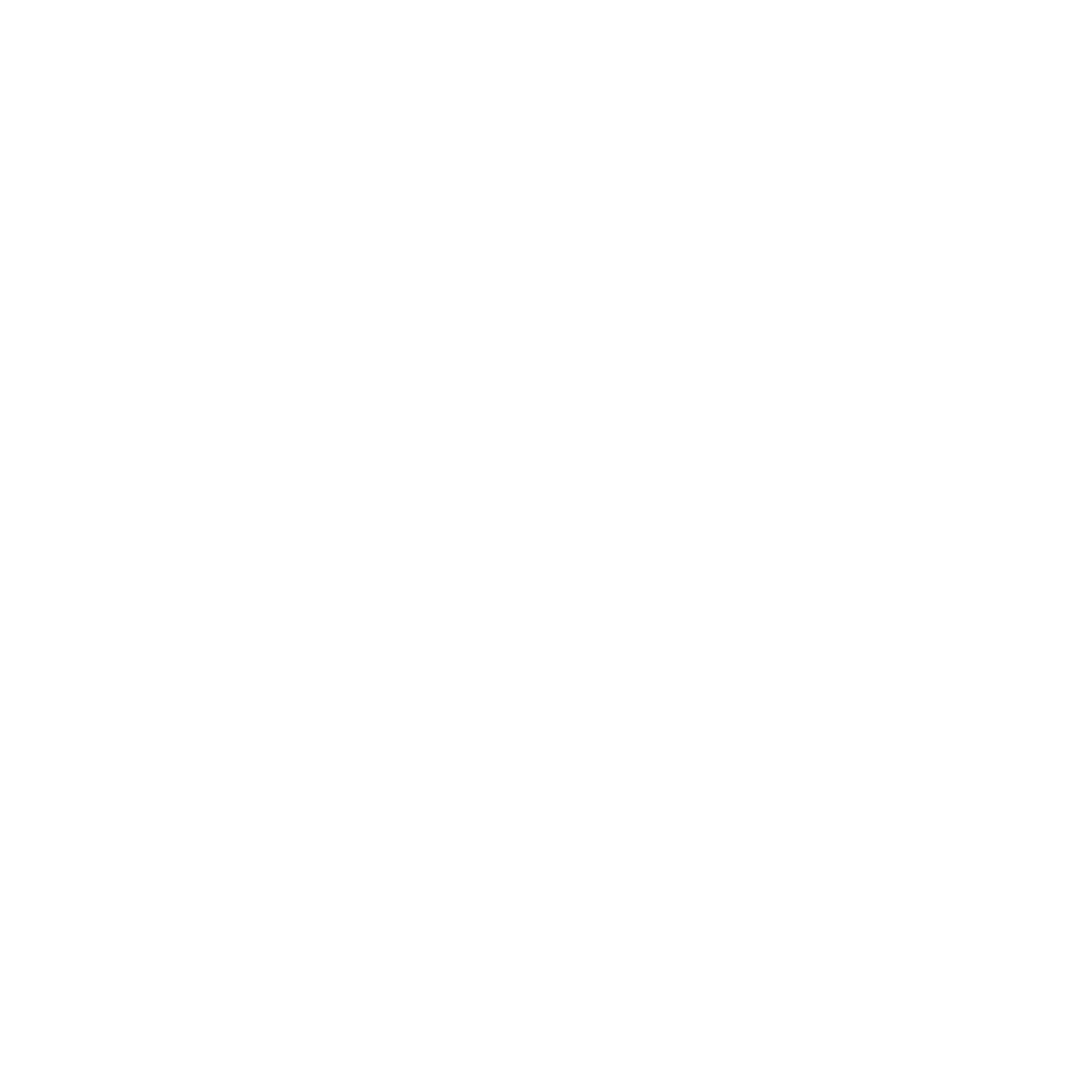 percy jackson and the olympians camp half blood CHB
